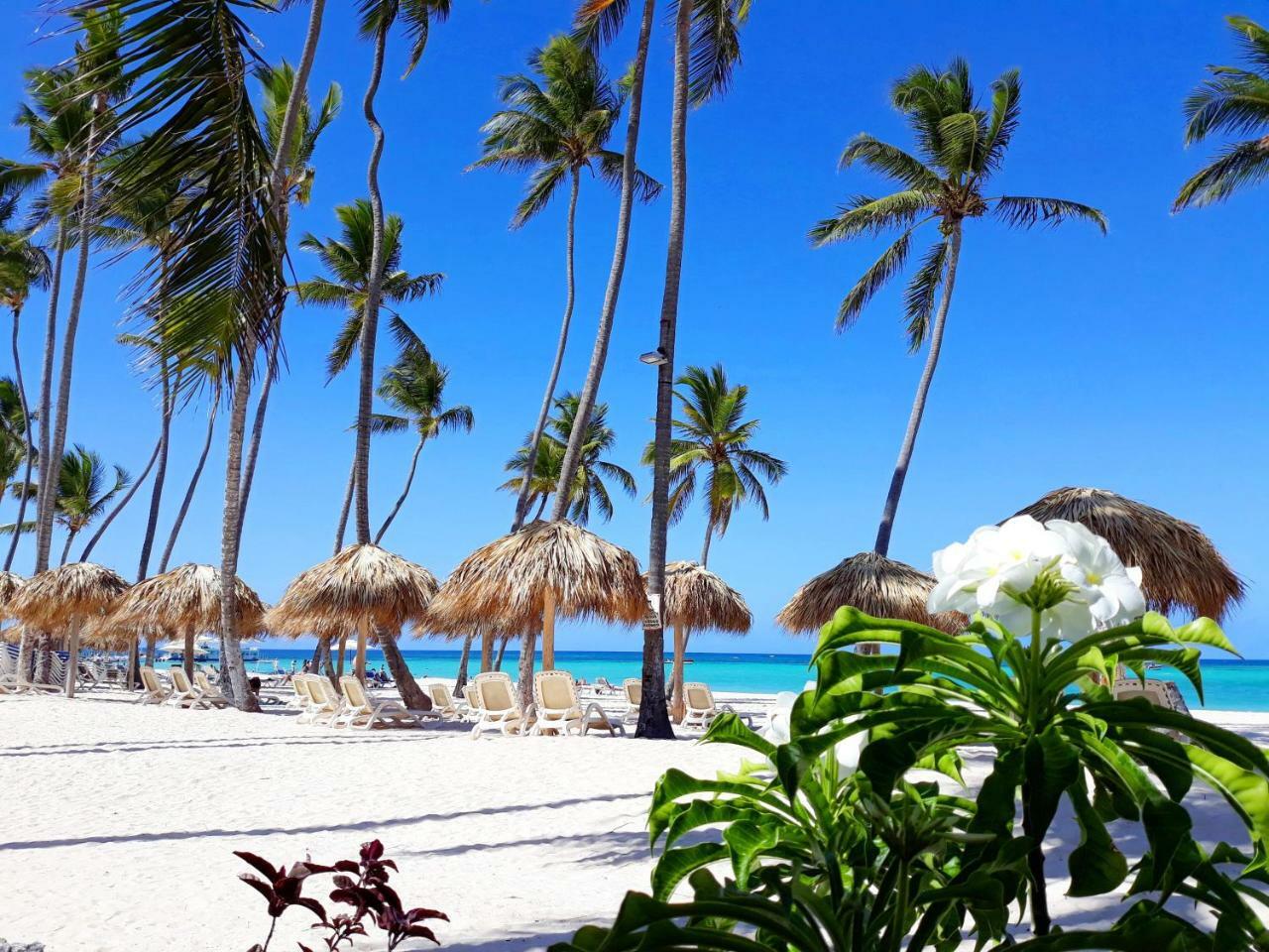 Beach Villas & Apartments Larimar Punta Cana Bagian luar foto